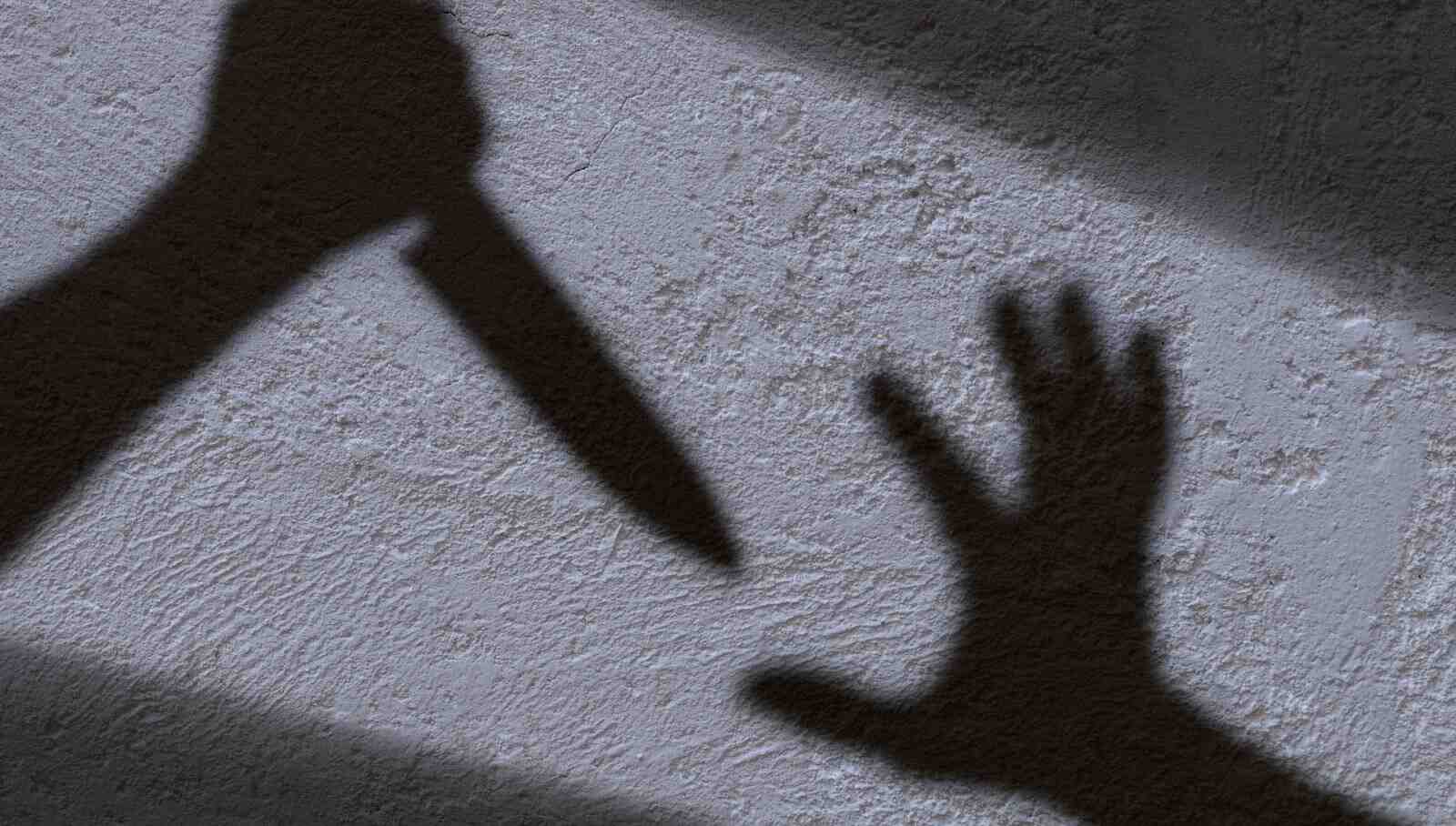 İş görüşmesi için gittiği şirketin müdürünü öldürdü