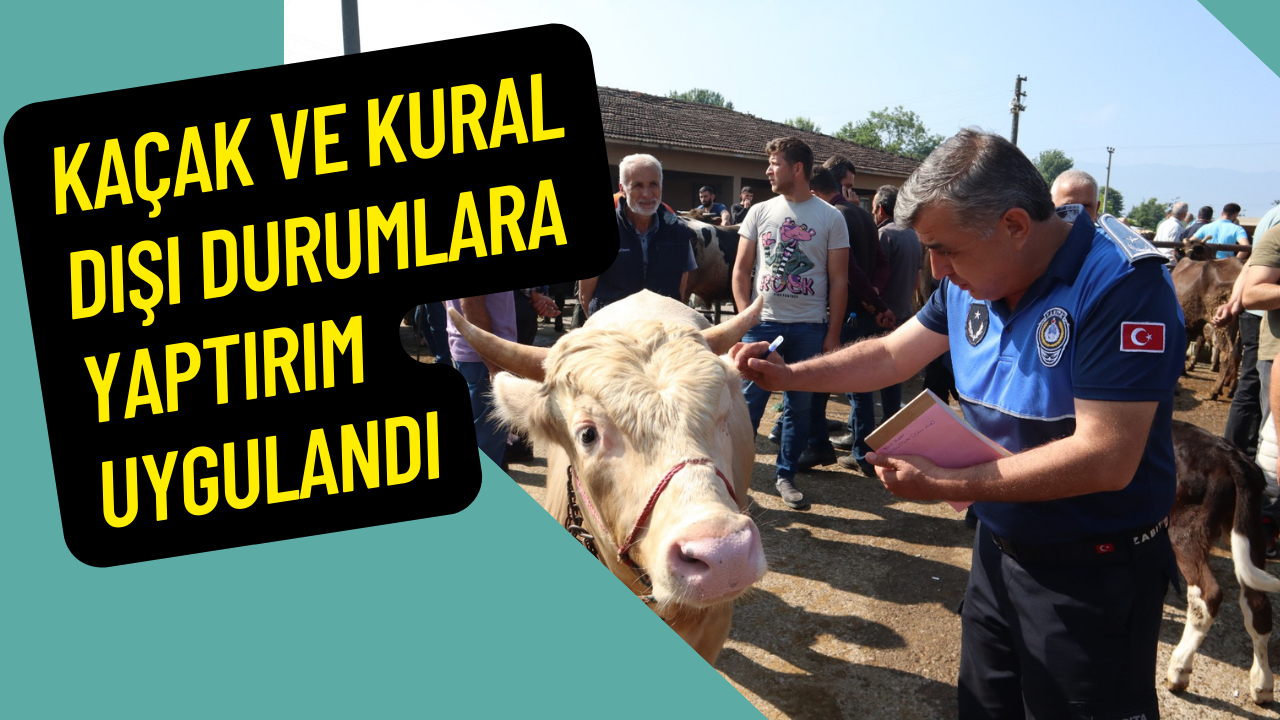 KURBAN BAYRAMI ÖNCESİ EKİPLERDEN DENETİM