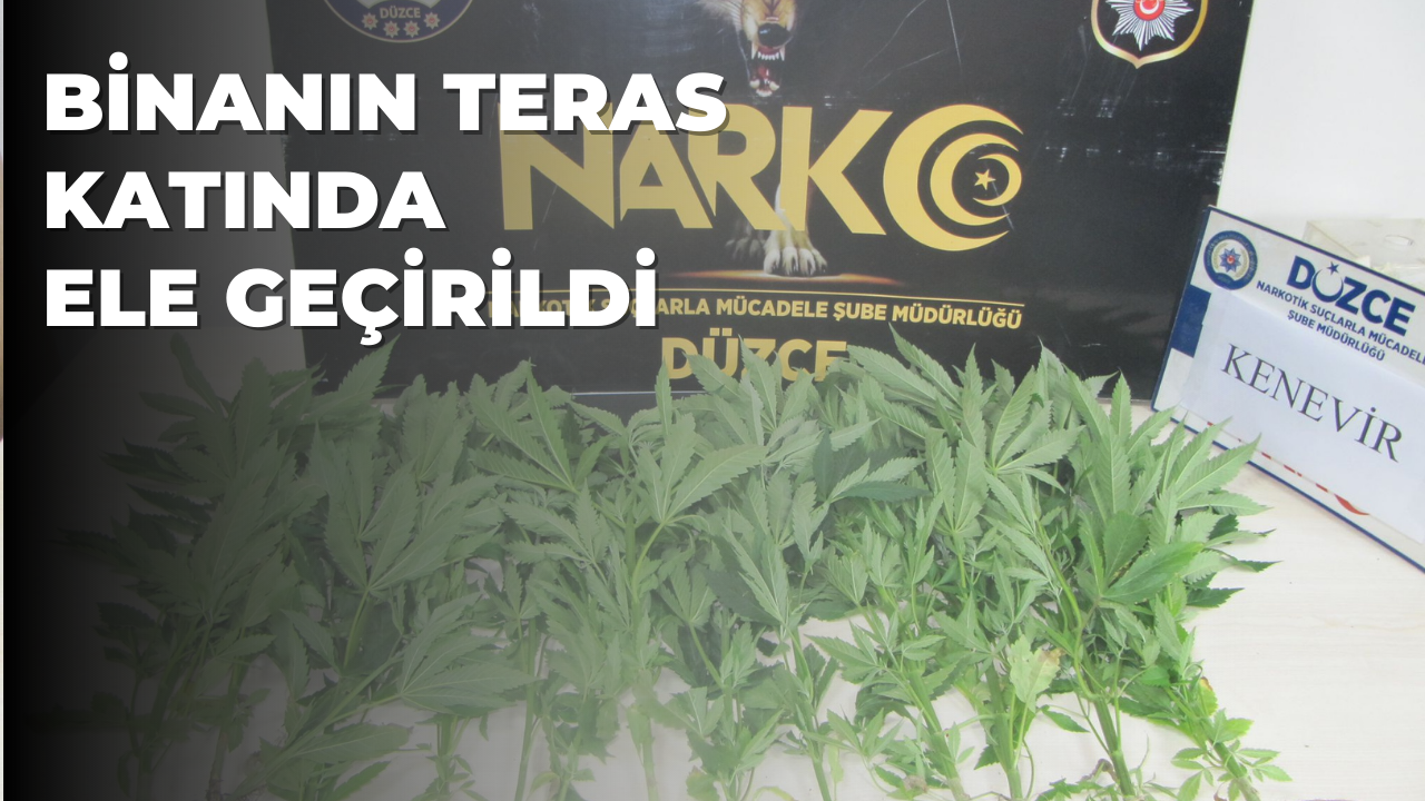 DÜZCE POLİSİNDEN UYUŞTURUCU OPERASYONU