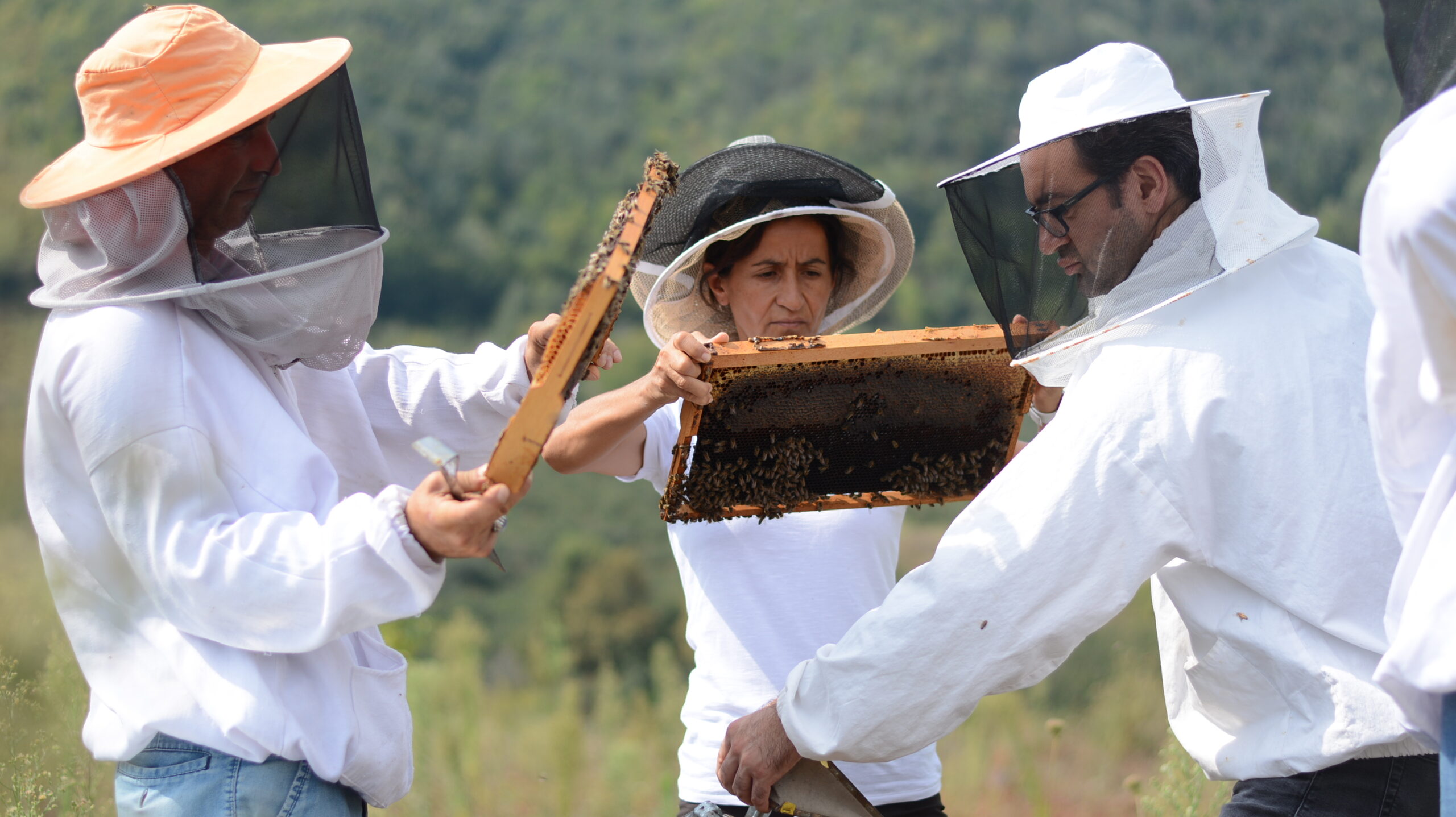 Küresel İklim Değişikliğine Karşı Arıcılık Alanında Yapılması Gerekenleri Anlatacak