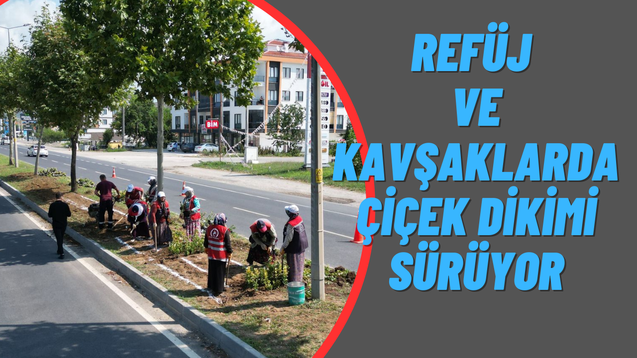 DÜZCE YOLLARINDA RENGARENK MANZARA