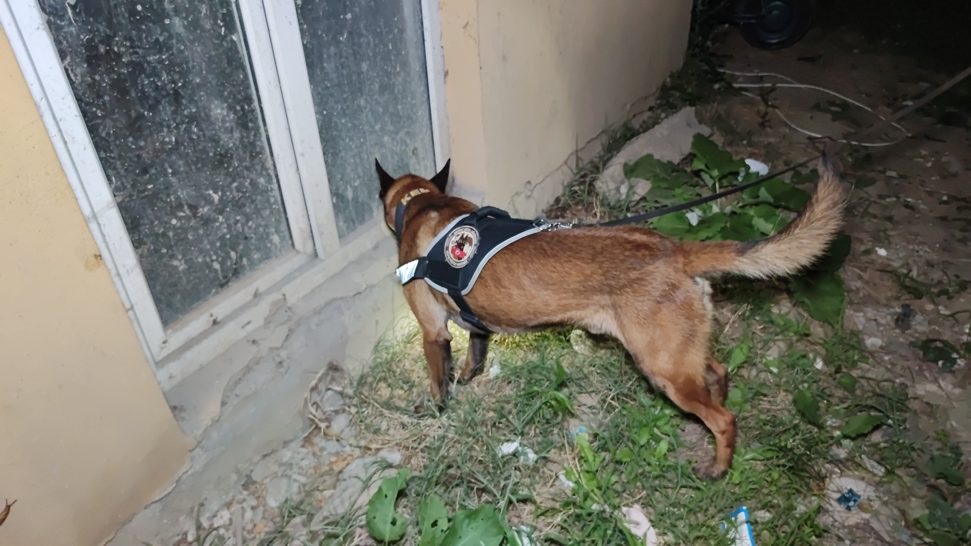 TORBACILARA GEÇİT YOK…