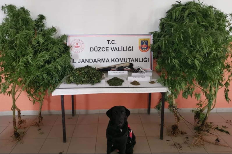 JANDARMA EKİPLERİNDEN UYUŞTURUCU OPERASYONU